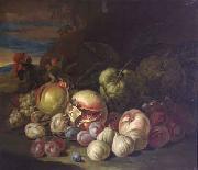 Jakob Bogdani Grapes and Peaches china oil painting artist